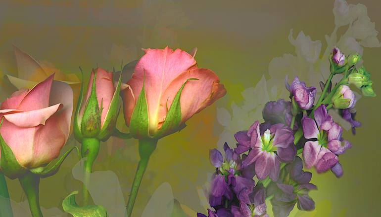 Original Conceptual Floral Photography by Patrick Beilman