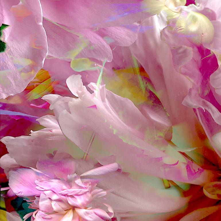 Original Conceptual Floral Photography by Patrick Beilman
