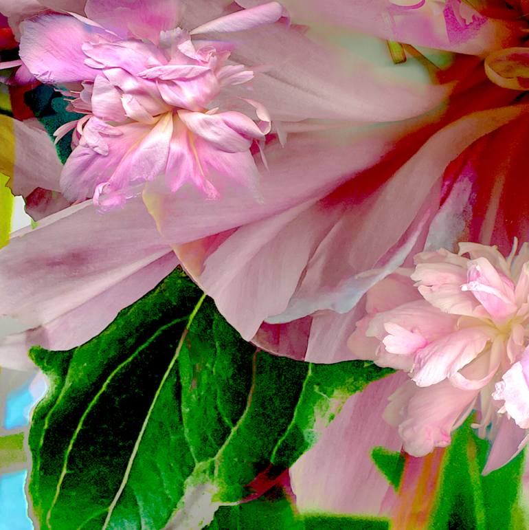 Original Conceptual Floral Photography by Patrick Beilman