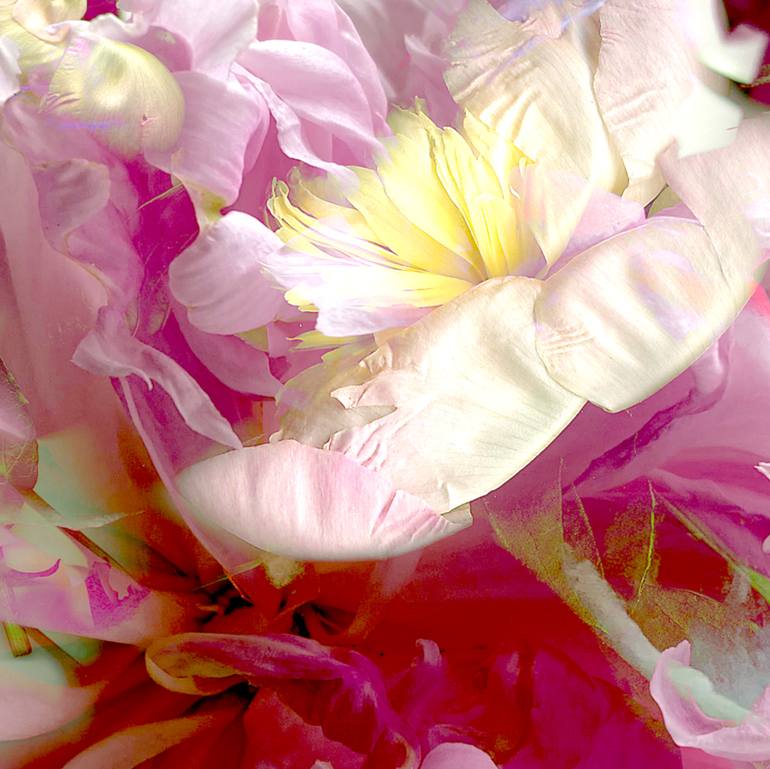 Original Conceptual Floral Photography by Patrick Beilman