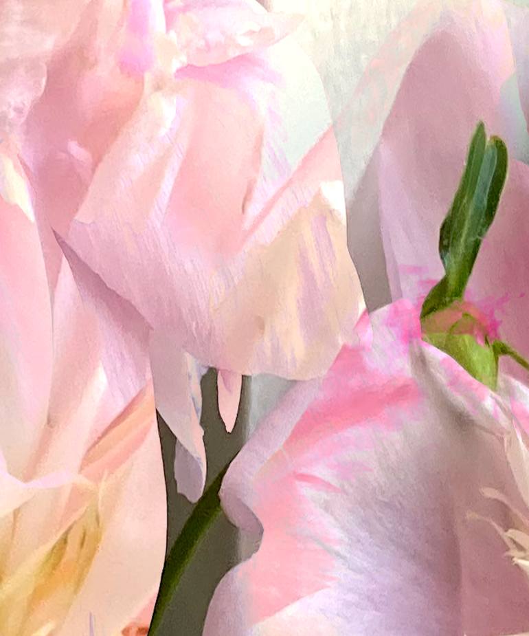 Original Conceptual Floral Photography by Patrick Beilman