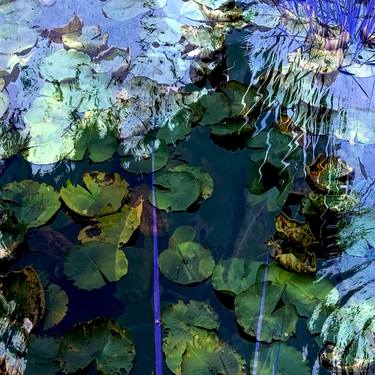 Original Conceptual Botanic Digital by Patrick Beilman