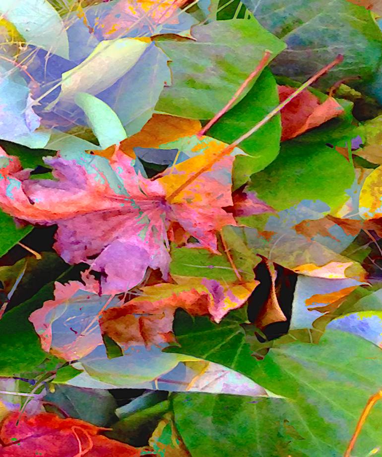Original Conceptual Botanic Digital by Patrick Beilman