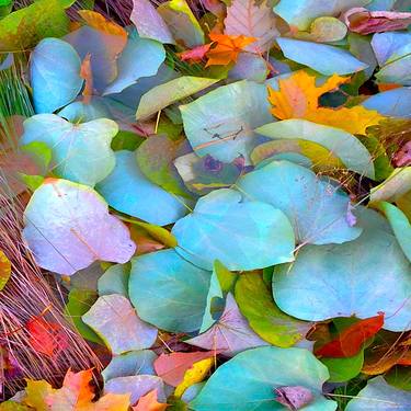 Original Conceptual Botanic Digital by Patrick Beilman
