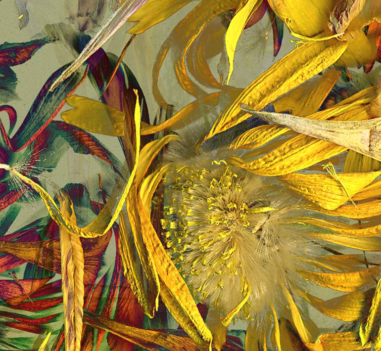 Original Conceptual Botanic Photography by Patrick Beilman