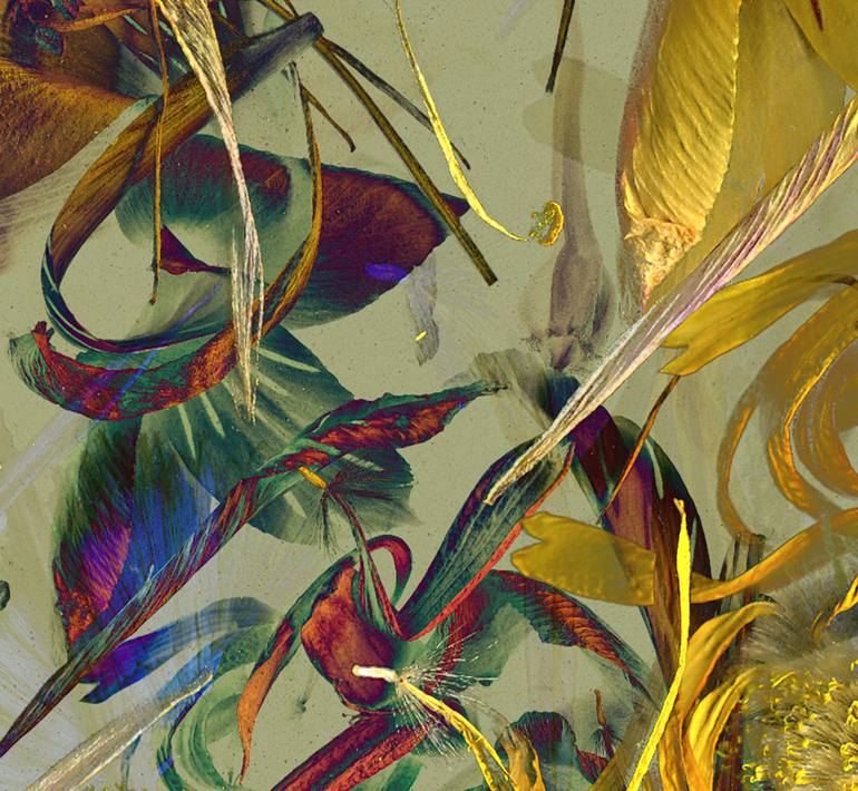 Original Conceptual Botanic Photography by Patrick Beilman