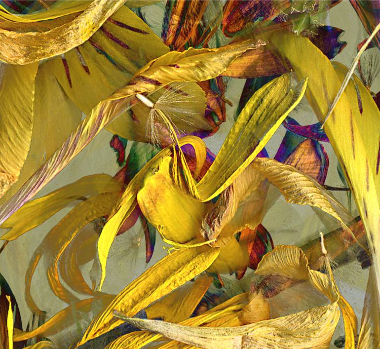 Original Conceptual Botanic Photography by Patrick Beilman