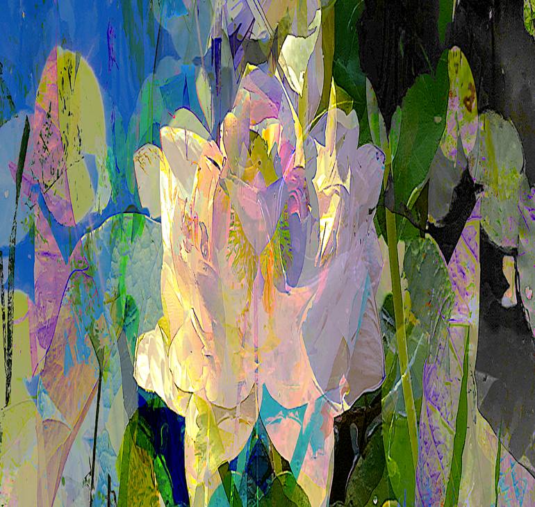Original Contemporary Floral Photography by Patrick Beilman