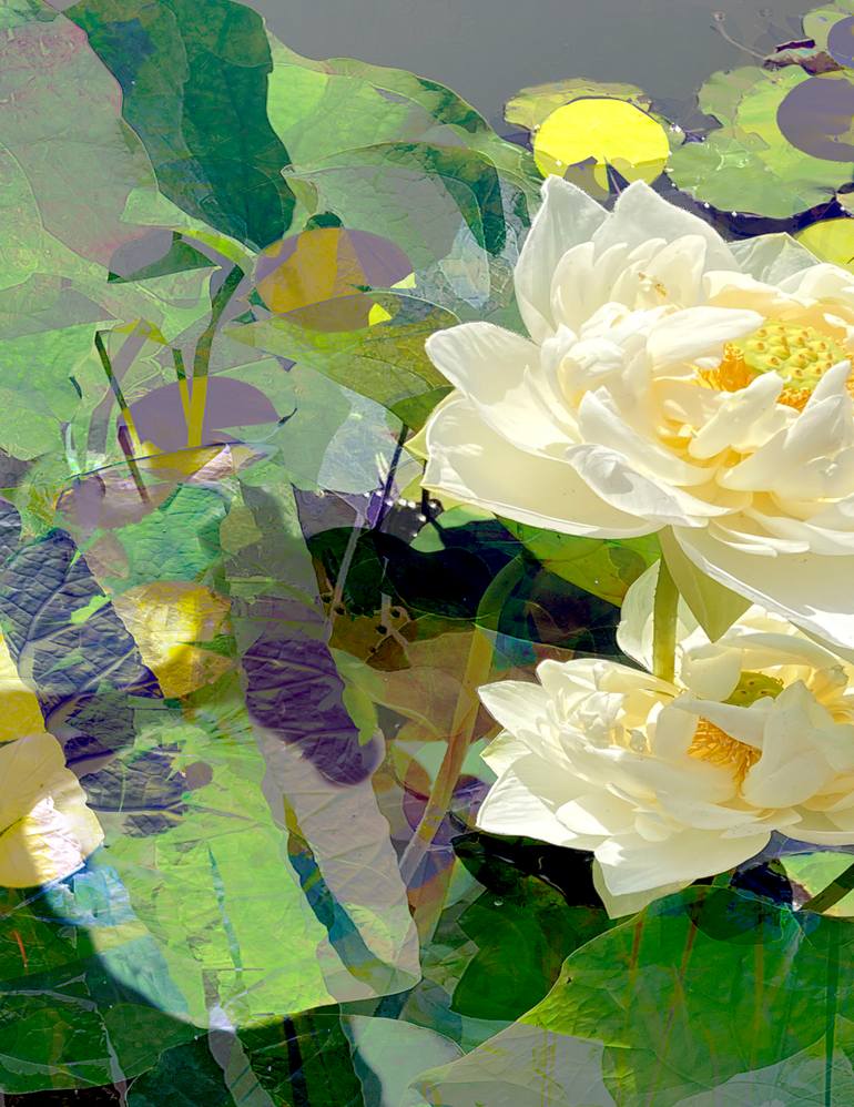 Original Conceptual Botanic Photography by Patrick Beilman