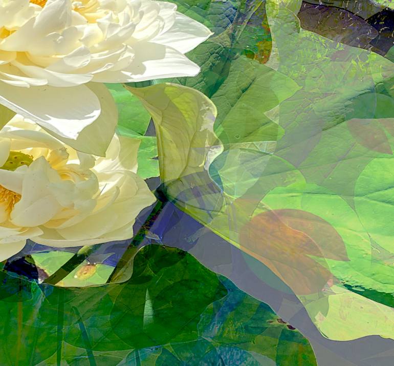Original Conceptual Botanic Photography by Patrick Beilman