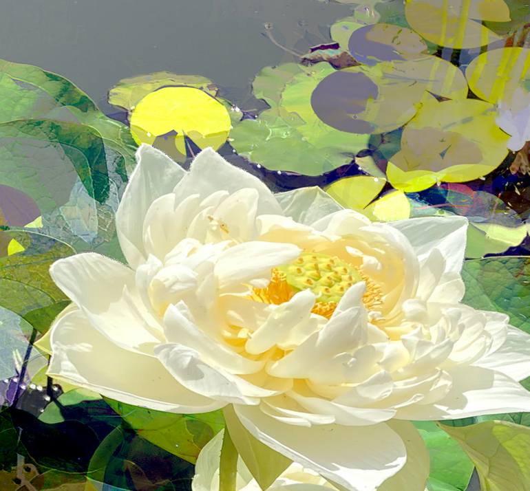 Original Conceptual Botanic Photography by Patrick Beilman