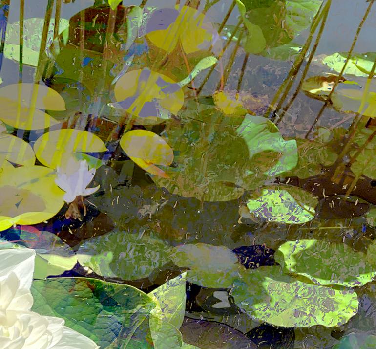 Original Conceptual Botanic Photography by Patrick Beilman
