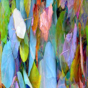 Original Color Field Painting Nature Photography by Patrick Beilman