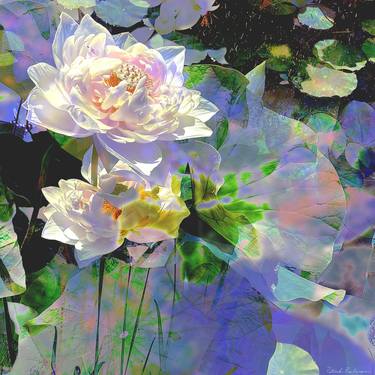 Original Classicism Botanic Photography by Patrick Beilman