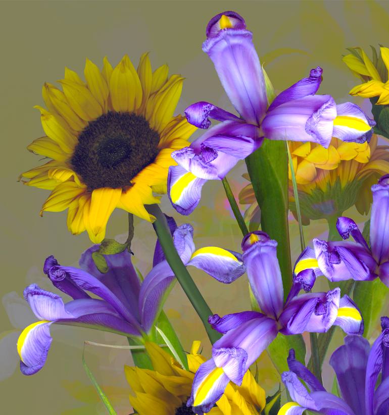 Original Conceptual Floral Photography by Patrick Beilman