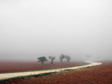 Print of Abstract Nature Photography by Simone Massafra