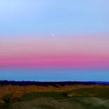 Winterton by Francesca Currie