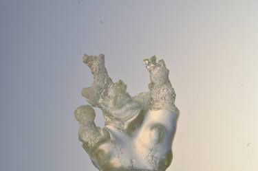 Liquid tree – Solid form 2011 thumb