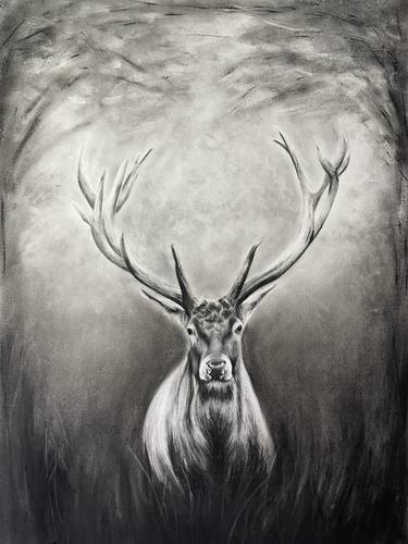 Original Contemporary Animal Drawings by Laura Jayne Smith