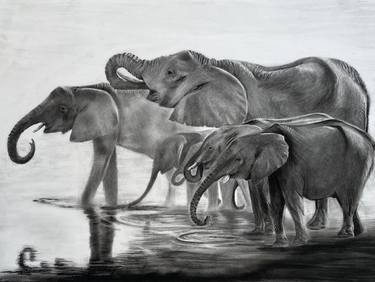 Original Realism Animal Drawings by Laura Jayne Smith