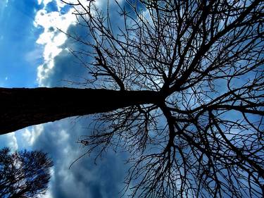 Original Conceptual Abstract Photography by Art O