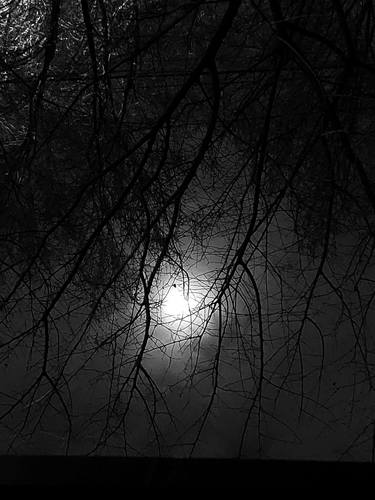 Original Surrealism Abstract Photography by Art O