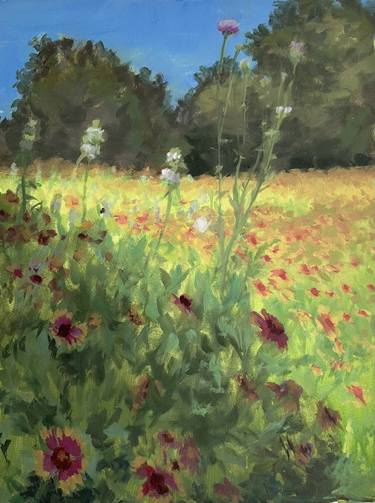 Original Landscape Paintings by Colleen Blackard