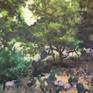 Collection Plein Air Paintings by Colleen Blackard of Austin, TX, Summer 2020-2022