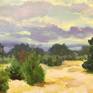 Collection Plein Air Paintings by Colleen Blackard of Austin, TX, Summer 2020-2022
