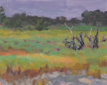 Original Expressionism Landscape Paintings by Colleen Blackard