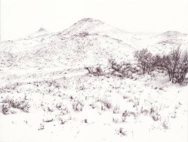 Original Fine Art Landscape Drawings by Colleen Blackard