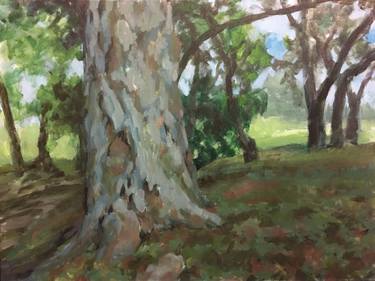 Original Expressionism Tree Paintings by Colleen Blackard