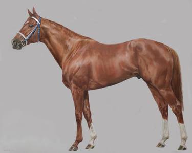 Original Realism Horse Paintings by Christa Walhof