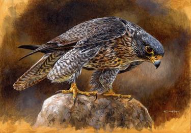 Original Photorealism Animal Paintings by Esther van Hulsen