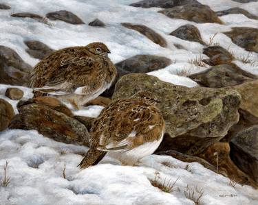 Original Photorealism Animal Painting by Esther Van Hulsen