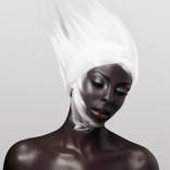The black phoenix by Alberto Maccari