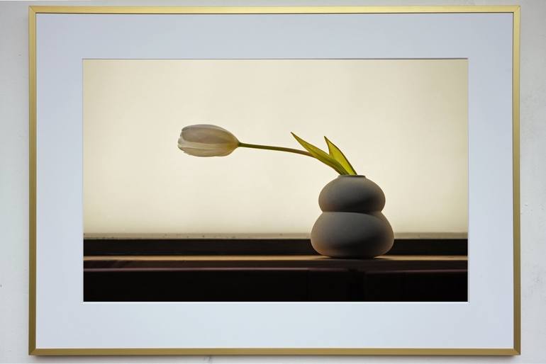 Original Minimalism Still Life Photography by Andras Szurdi