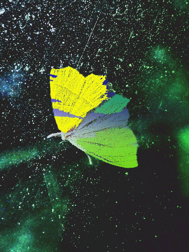 Original Conceptual Animal Photography by Rachel Alice