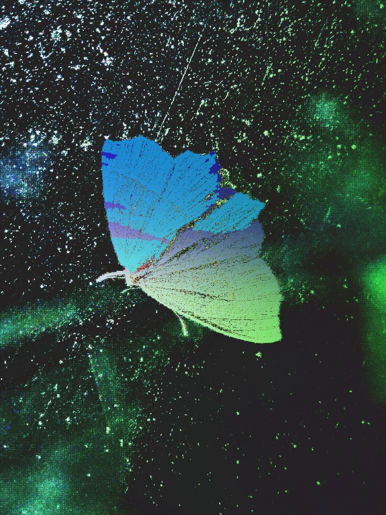 Original Conceptual Animal Photography by Rachel Alice