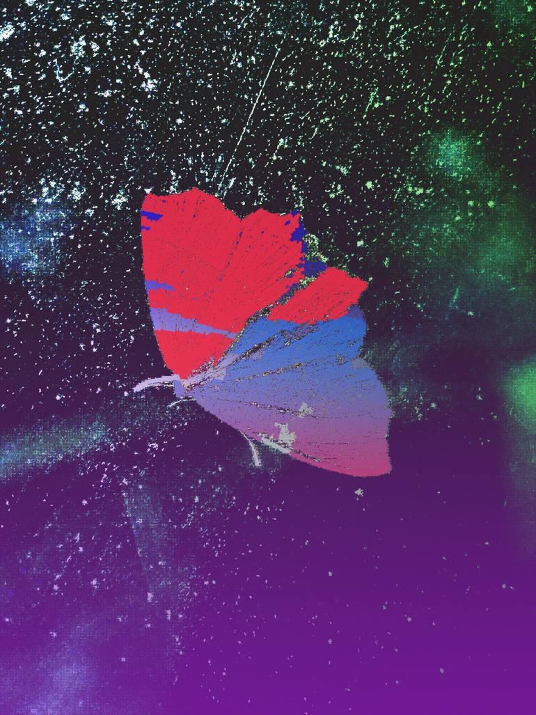 Original Conceptual Animal Photography by Rachel Alice