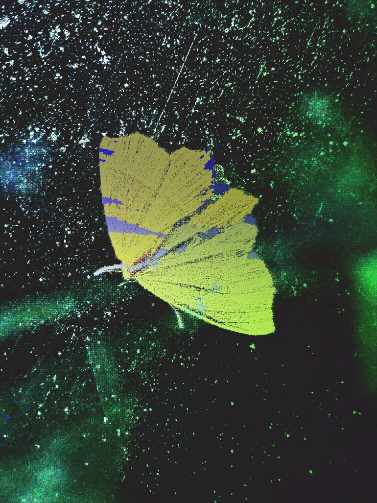 Original Conceptual Animal Photography by Rachel Alice