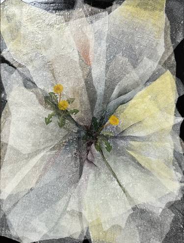 Original Abstract Floral Collage by hyunsoo lee