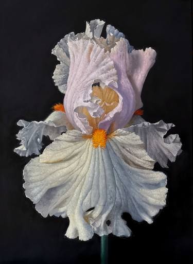 Original Floral Paintings by Fabian La Rosa
