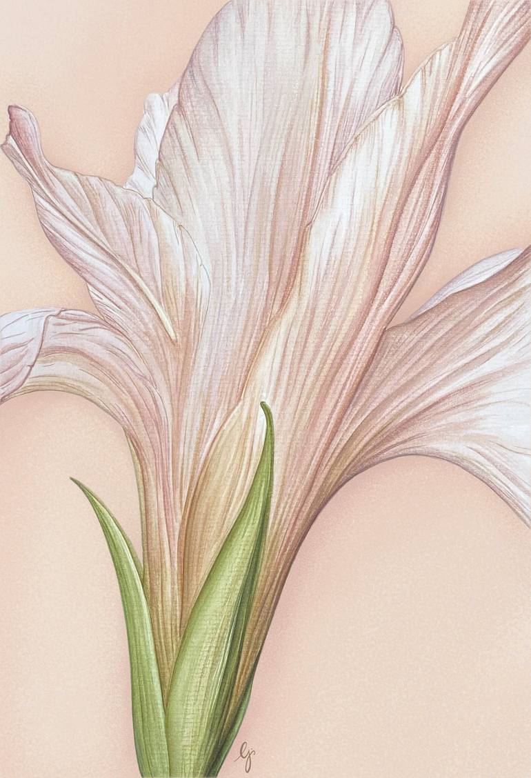 Print of Contemporary Botanic Paintings by Daniela Grisel Beizaga