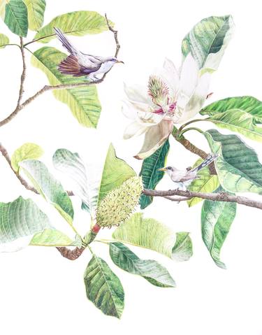 Original Figurative Botanic Drawings by Clarissa Patrianova Valaeys