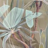 Collection Earthy Hues