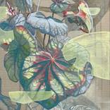 Mountain Begonia by Clarissa Patrianova Valaeys
