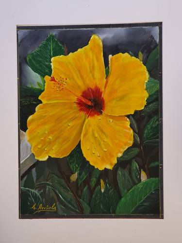 Original Impressionism Floral Paintings by Carlos Arriola