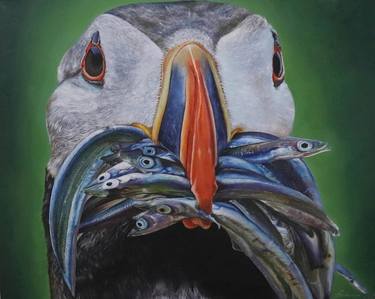 Original Realism Animal Paintings by Piyali Karmakar