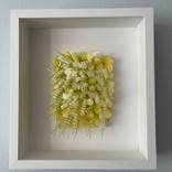 Yellow Dahlias by Devi Vallabhaneni